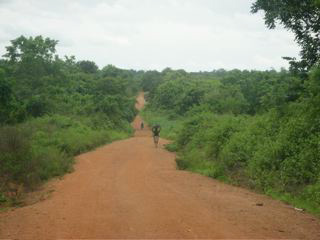 Long dirt road to Star of the Sea School, Buni, Ghana, West Africa